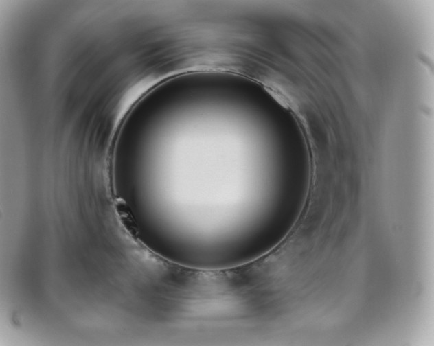 X0000095890960200801111153
