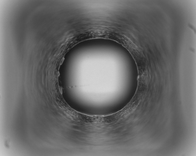 X0000095890961200801111152