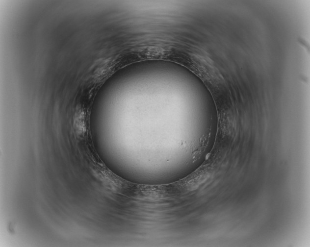 X0000095890962200801111152