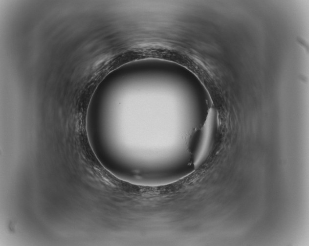 X0000095890965200801111152