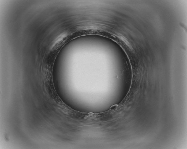 X0000095890967200801111152