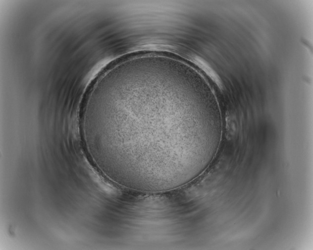 X0000095890972200801111152