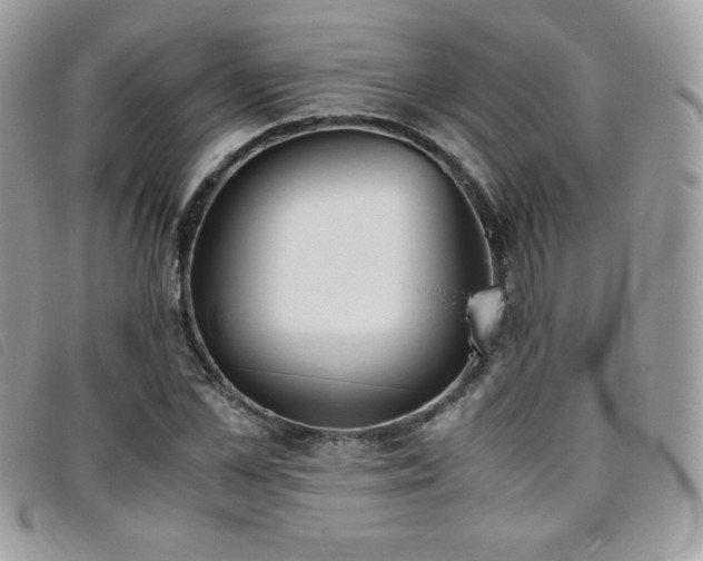 X0000095890973200801111152