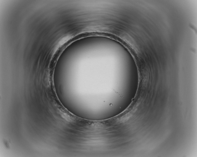 X0000095890974200801111152