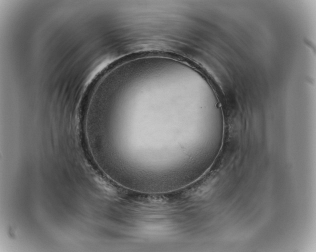 X0000095890975200801111152