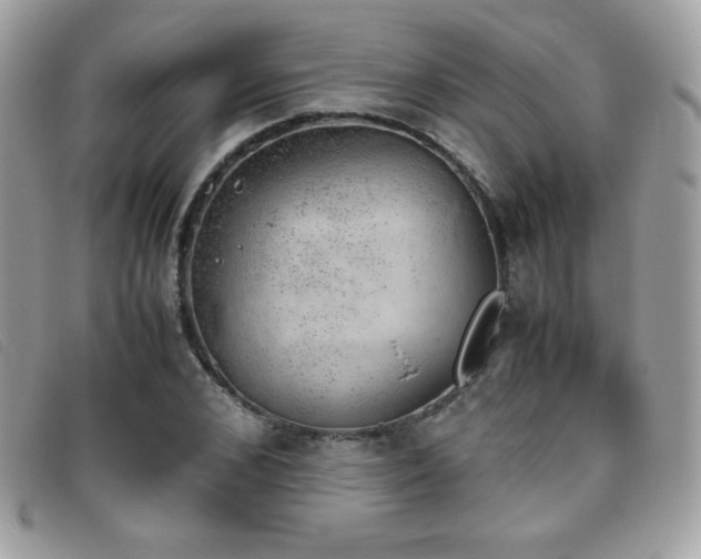 X0000095890976200801111152