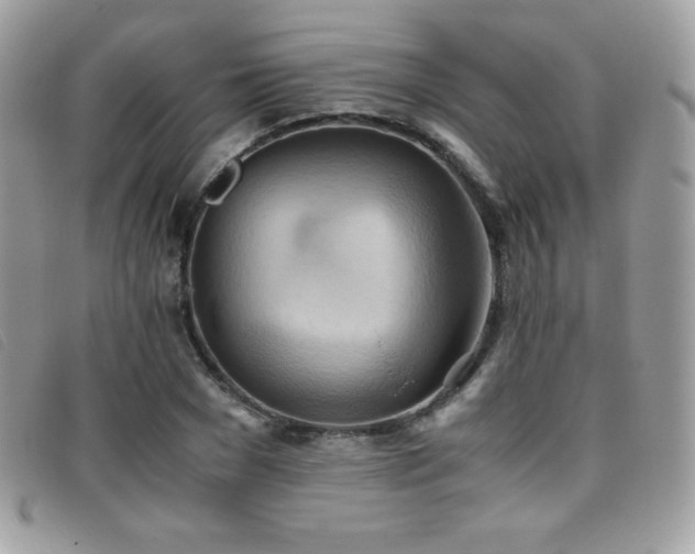 X0000095890977200801111152