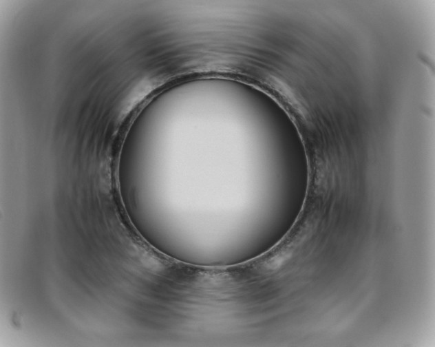 X0000095890978200801111152