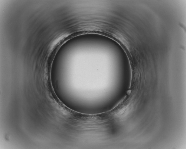 X0000095890979200801111152