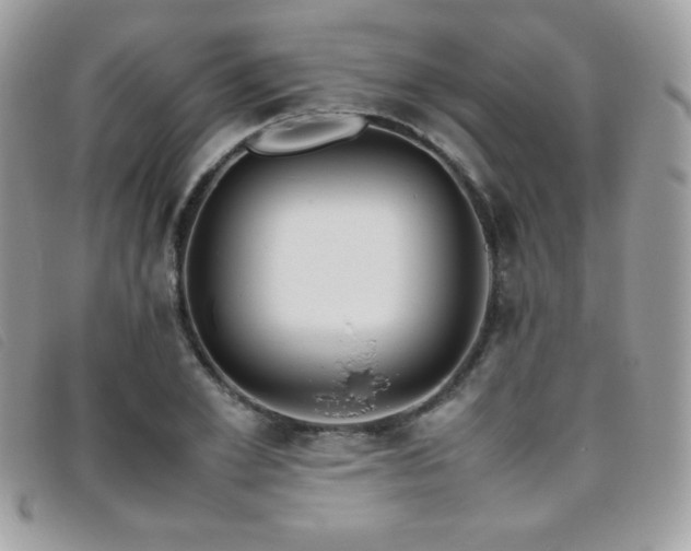 X0000095890981200801111152