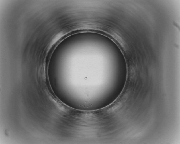 X0000095890982200801111152