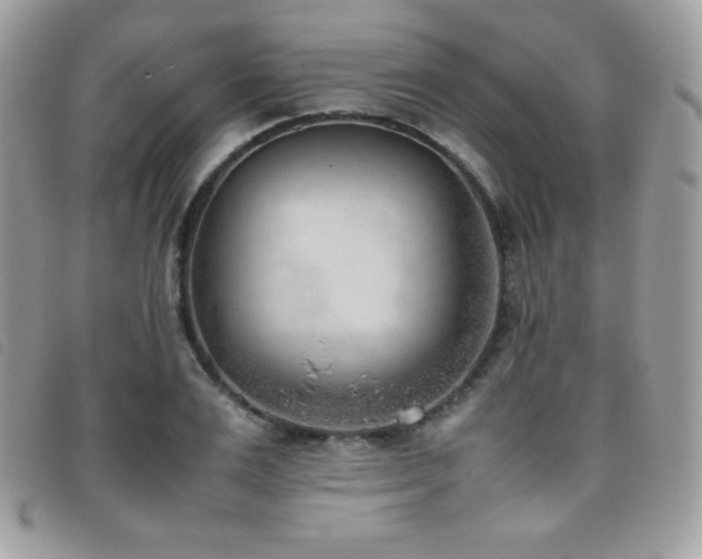 X0000095890983200801111152