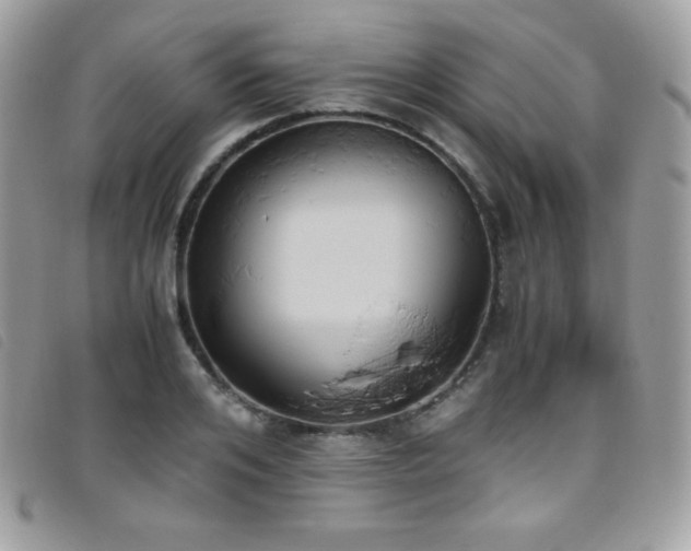 X0000095890984200801111152