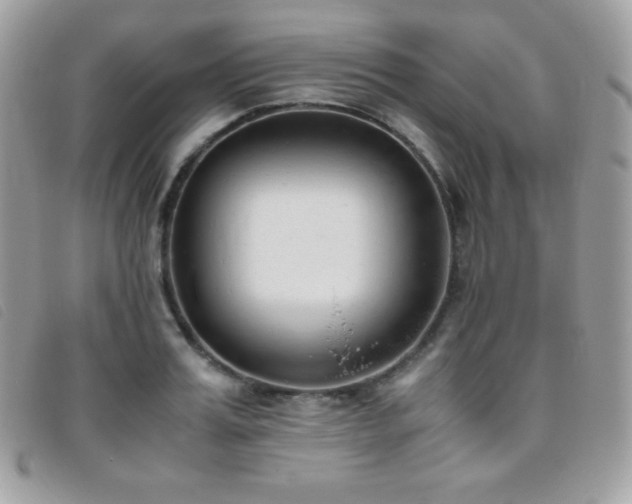 X0000095890987200801111152