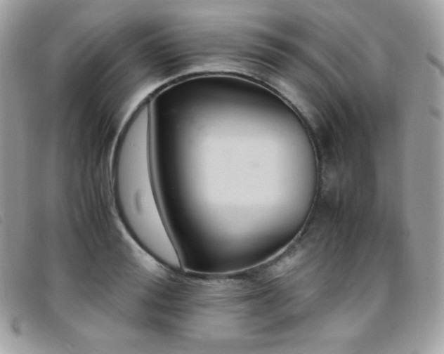 X0000095890988200801111152