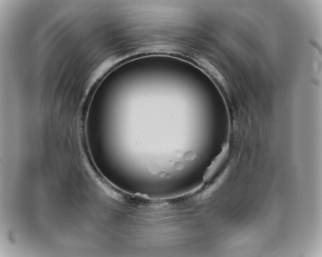 X0000095890989200801111152