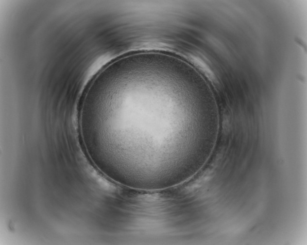 X0000095890990200801111152