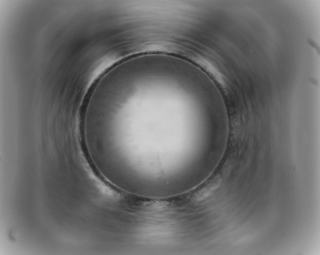 X0000095890991200801111152