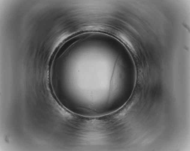 X0000095890992200801111152