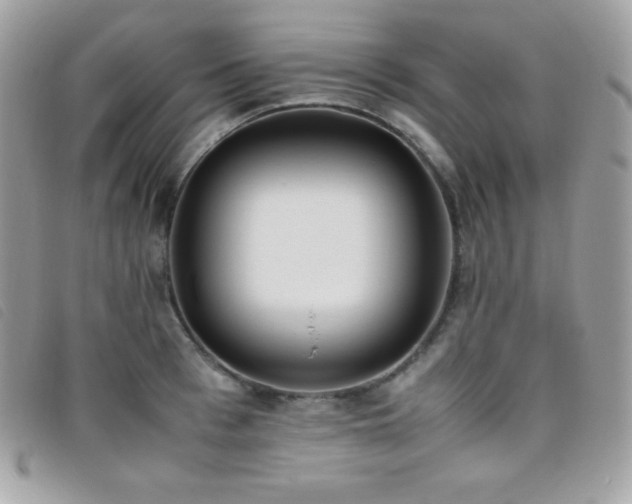X0000095890993200801111152