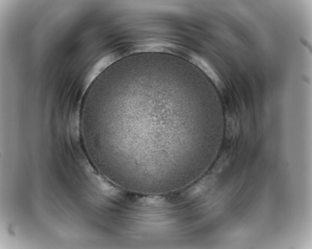 X0000095890994200801111152