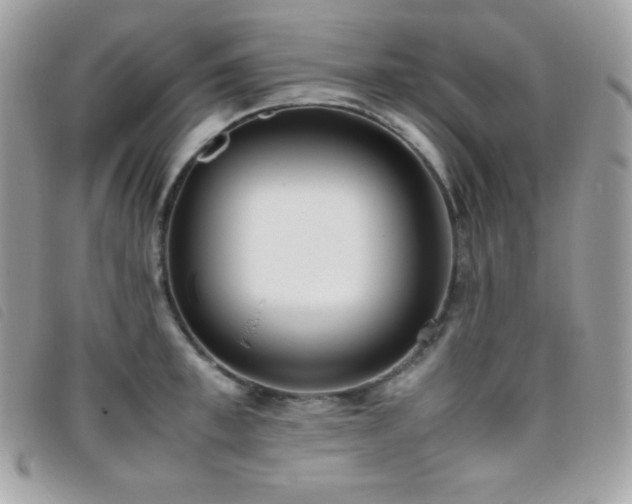 X0000095890997200801111152