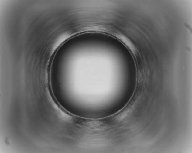 X0000095890999200801111152