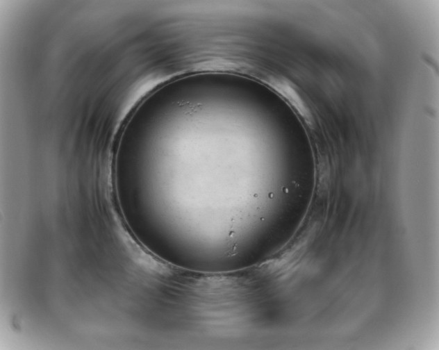 X0000095891000200801111152