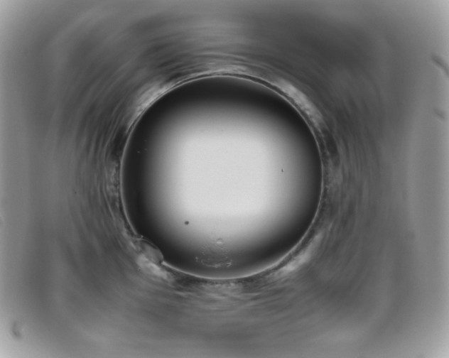 X0000095891001200801111152