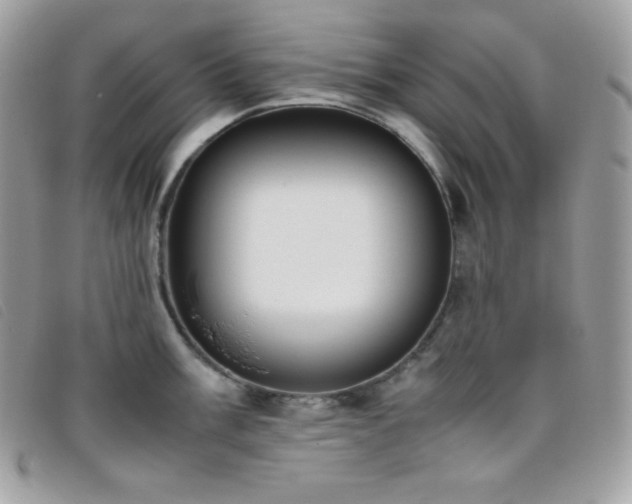 X0000095891003200801111152