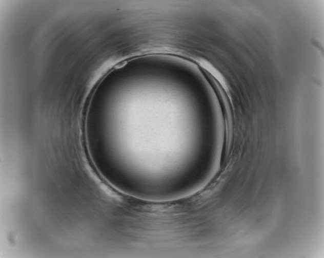 X0000095891005200801111151