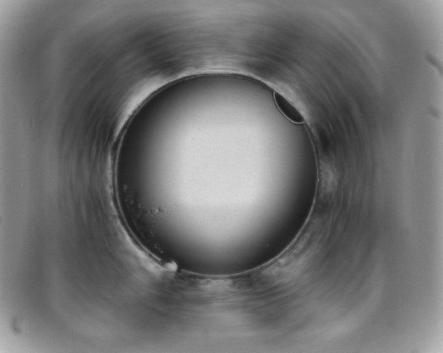 X0000095891006200801111151