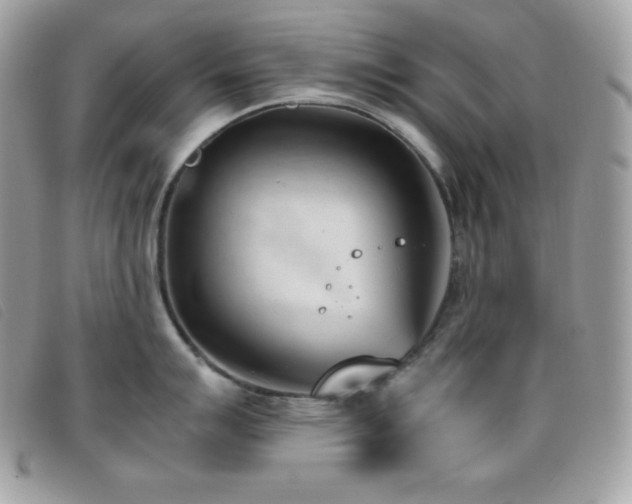 X0000095891007200801111151