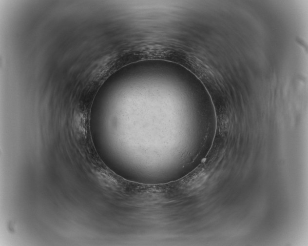 X0000095891010200801111151