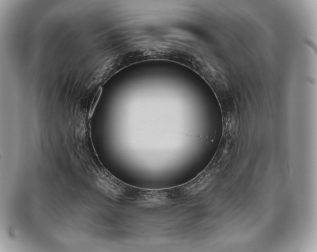 X0000095891012200801111151