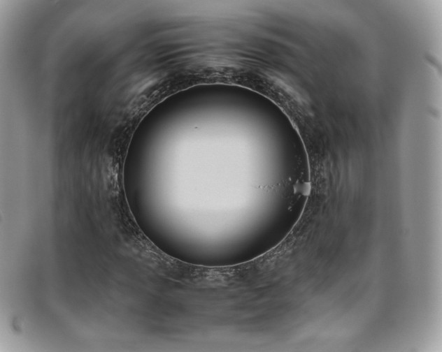 X0000095891013200801111151