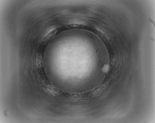 X0000095891014200801111151