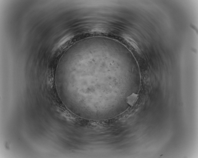 X0000095891015200801111151