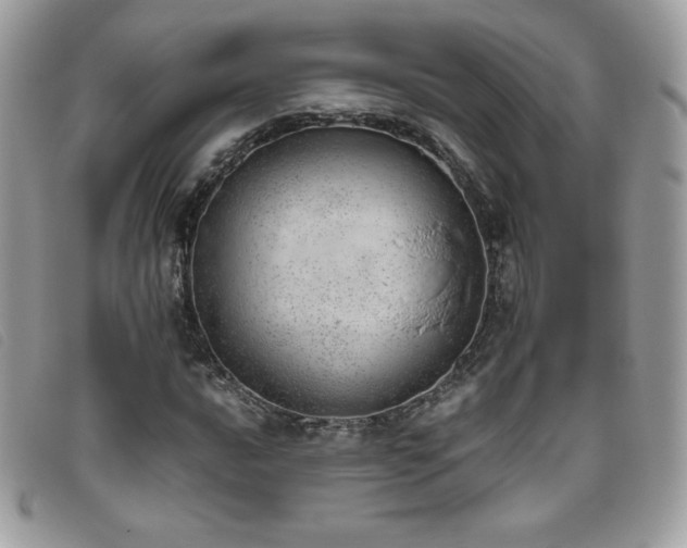 X0000095891016200801111151