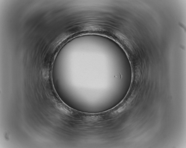 X0000095891017200801111151