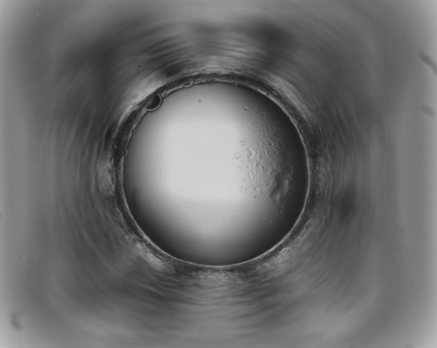 X0000095891018200801111151
