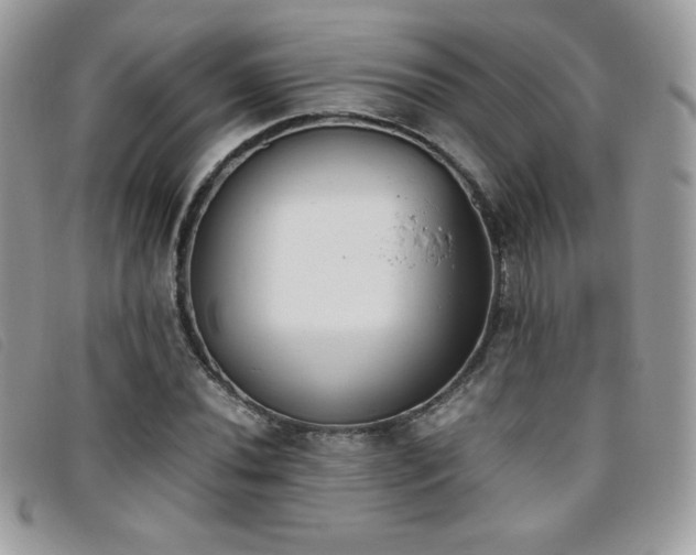 X0000095891020200801111151