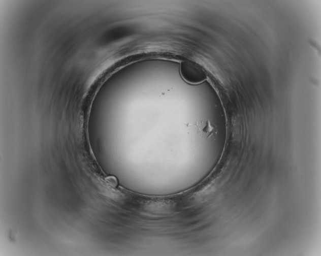 X0000095891021200801111151