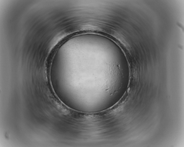 X0000095891022200801111151