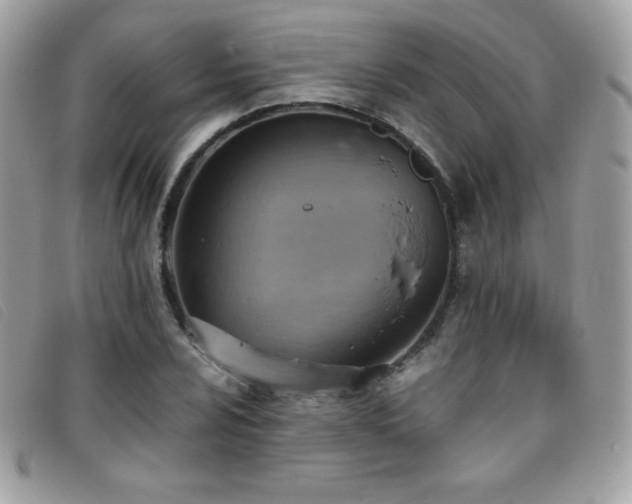 X0000095891024200801111151