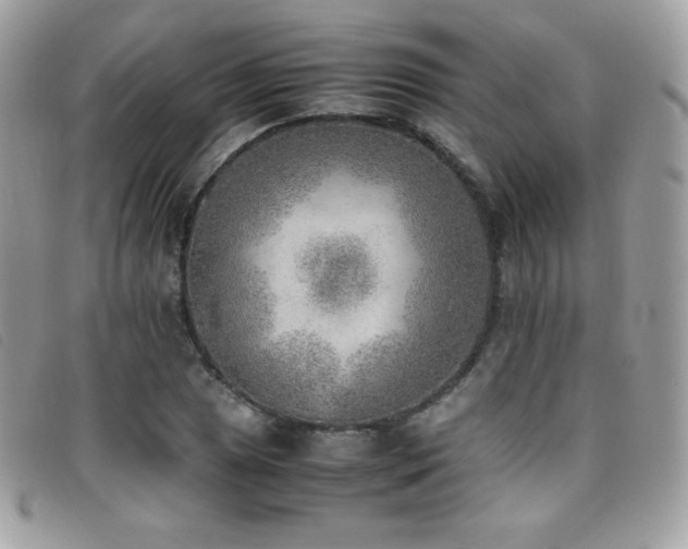 X0000095891025200801111151