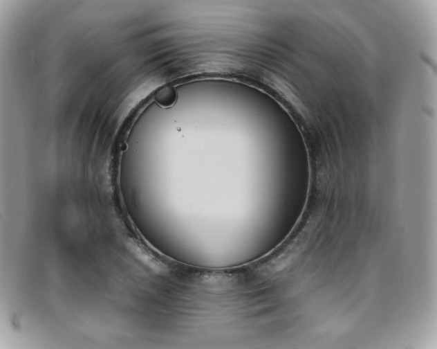 X0000095891026200801111151