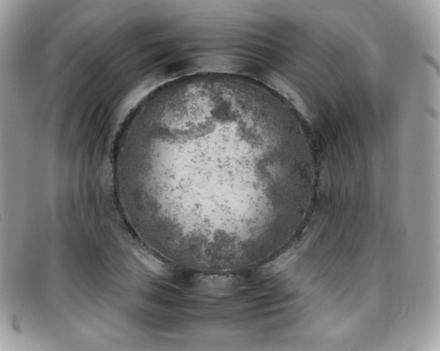 X0000095891027200801111151