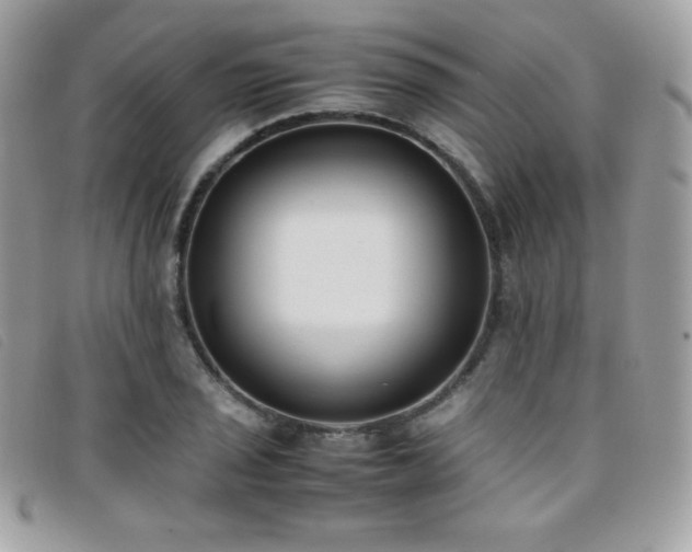 X0000095891029200801111151