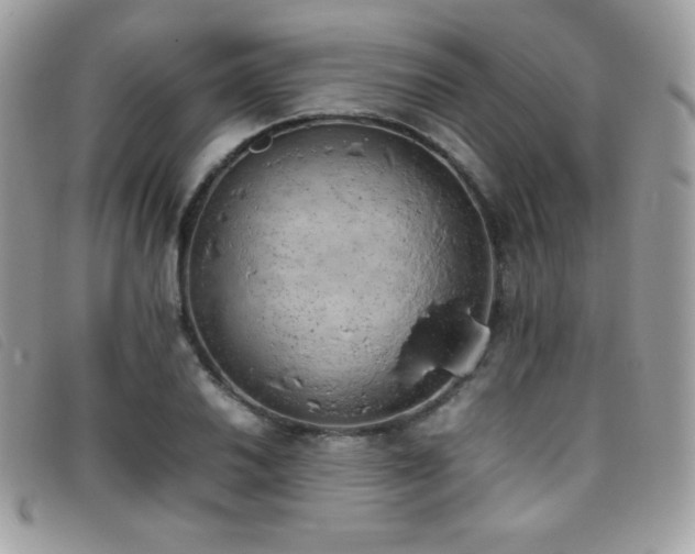 X0000095891030200801111151